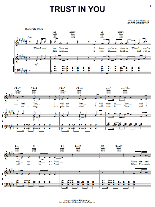 Jeremy Camp Trust In You Sheet Music Notes & Chords for Piano, Vocal & Guitar (Right-Hand Melody) - Download or Print PDF