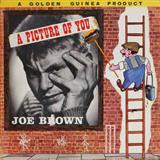Download Joe Brown & The Bruvvers A Picture Of You sheet music and printable PDF music notes