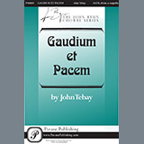 Download John Tebay Gaudium Et Pacem sheet music and printable PDF music notes