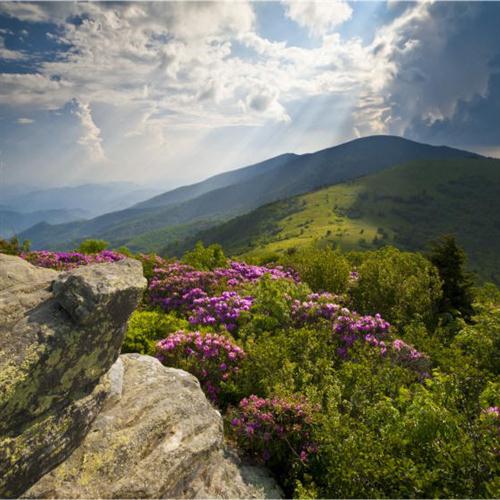 Tom Lough, Appalachian Psalm (arr. Jon Paige), SATB