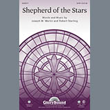 Download Joseph M. Martin Shepherd Of The Stars - Bass Clarinet in Bb sheet music and printable PDF music notes