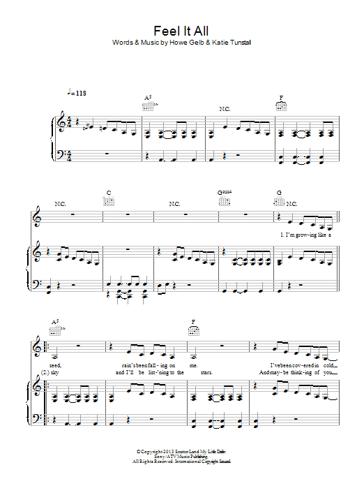 KT Tunstall Feel It All Sheet Music Notes & Chords for Piano, Vocal & Guitar (Right-Hand Melody) - Download or Print PDF