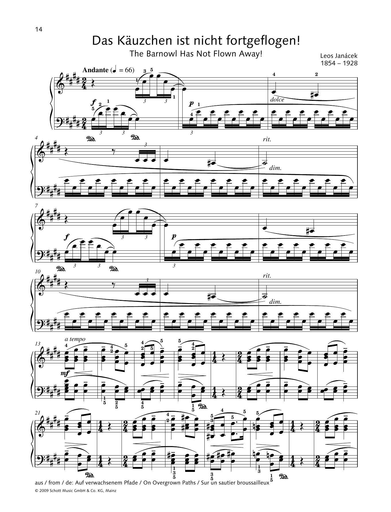 Leos Janácek The Barnowl has not Flown Away! Sheet Music Notes & Chords for Piano Solo - Download or Print PDF
