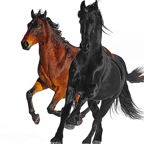 Lil Nas X feat. Billy Ray Cyrus, Old Town Road (Remix), Big Note Piano