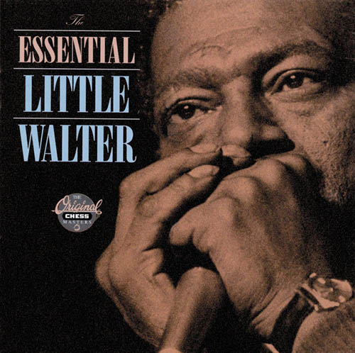 Little Walter, Boom Boom (Out Go The Lights), Guitar Tab