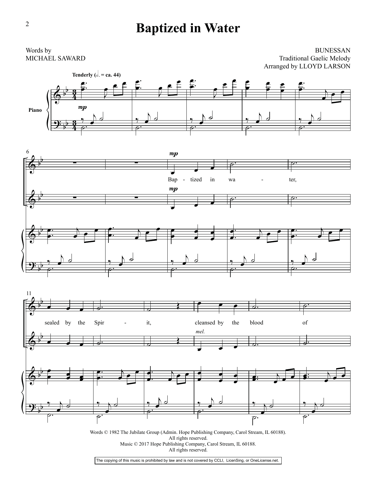 Lloyd Larson Today's Hymns & Songs For Two Voices, Vol. II Sheet Music Notes & Chords for Vocal Duet - Download or Print PDF