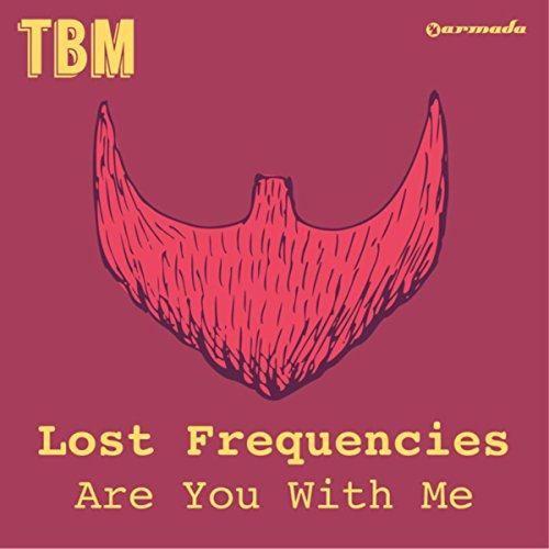 Lost Frequencies, Are You With Me, Easy Piano