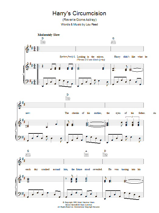 Lou Reed Harry's Circumcision Sheet Music Notes & Chords for Piano, Vocal & Guitar - Download or Print PDF