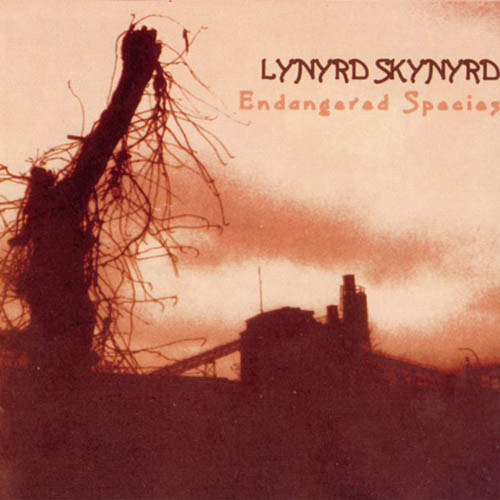 Lynyrd Skynyrd, Down South Jukin', Easy Guitar Tab