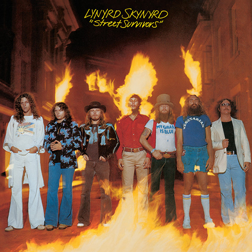 Lynyrd Skynyrd, I Never Dreamed, Guitar Tab