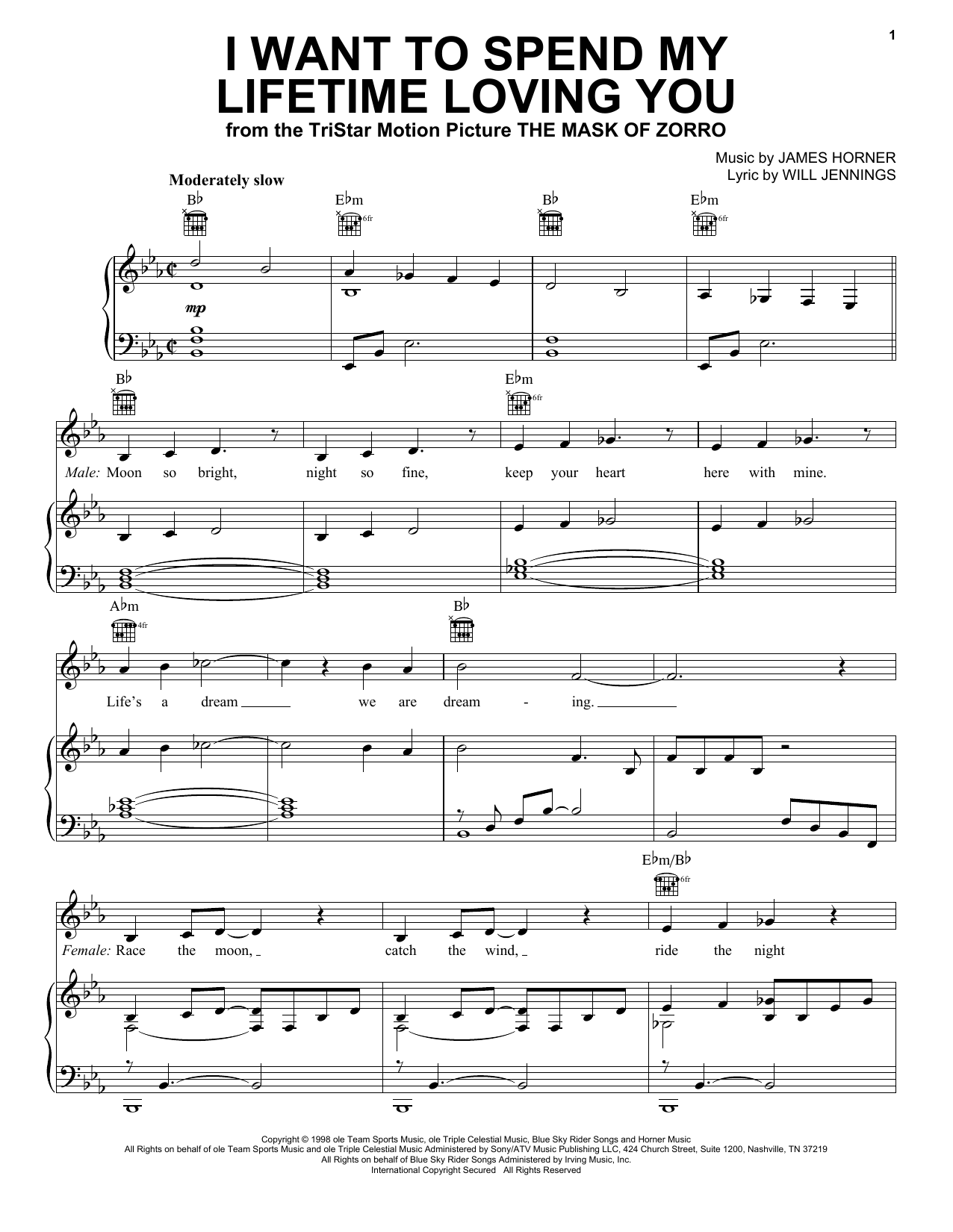 Marc Anthony and Tina Arena I Want To Spend My Lifetime Loving You Sheet Music Notes & Chords for Melody Line, Lyrics & Chords - Download or Print PDF