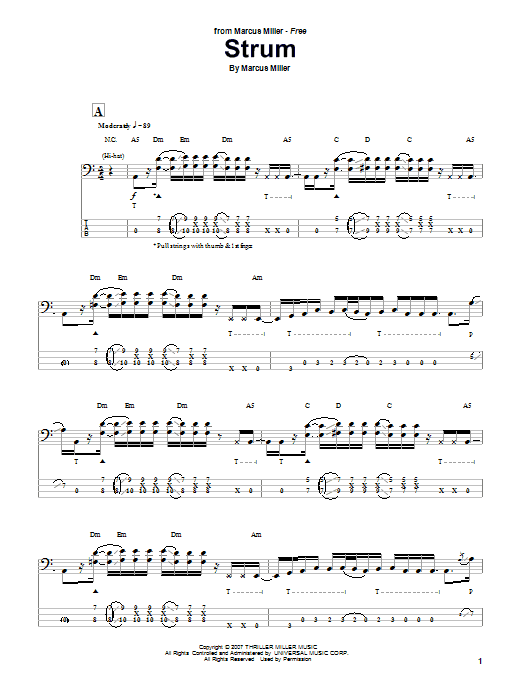 Marcus Miller Strum Sheet Music Notes & Chords for Bass Guitar Tab - Download or Print PDF