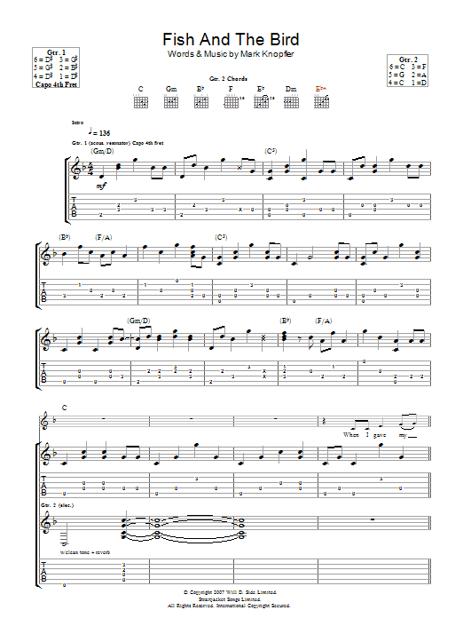 Mark Knopfler The Fish And The Bird Sheet Music Notes & Chords for Guitar Tab - Download or Print PDF