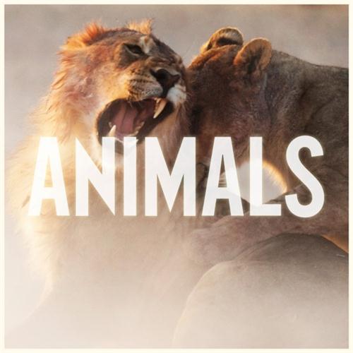 Maroon 5, Animals, Easy Piano