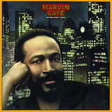 Download Marvin Gaye Sexual Healing sheet music and printable PDF music notes