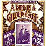 Download Maurice J. Gunsky A Bird In A Gilded Cage sheet music and printable PDF music notes