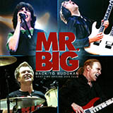 Download Mr. Big Stay Together sheet music and printable PDF music notes