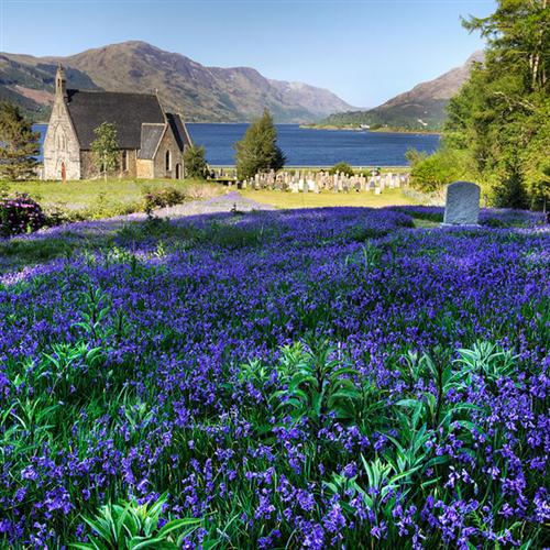 Traditional, The Bluebells Of Scotland, Lyrics & Chords