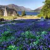 Download Traditional The Bluebells Of Scotland sheet music and printable PDF music notes