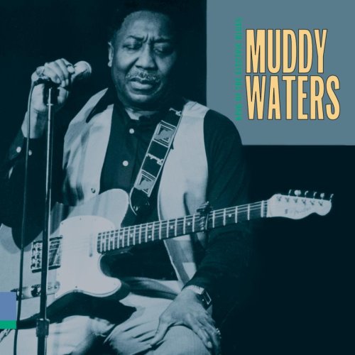 Muddy Waters, Baby Please Don't Go, Guitar Tab