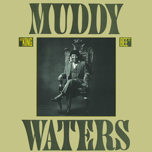 Muddy Waters, Champagne And Reefer, Guitar Tab