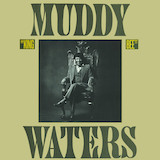 Download Muddy Waters Champagne And Reefer sheet music and printable PDF music notes