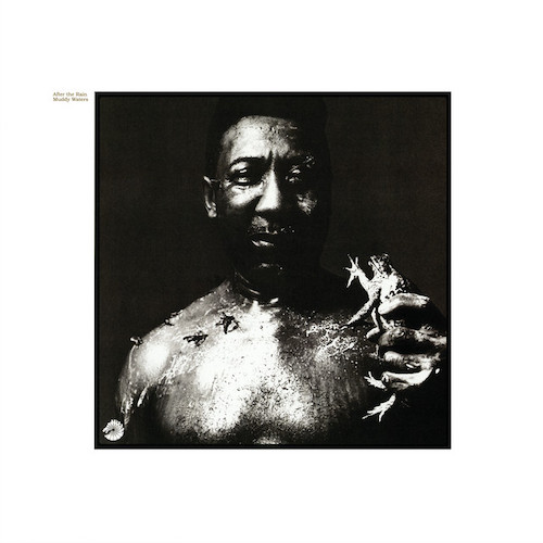 Muddy Waters, Honey Bee, Real Book – Melody, Lyrics & Chords