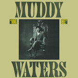 Download Muddy Waters Sad, Sad Day sheet music and printable PDF music notes