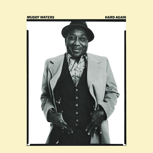 Muddy Waters, The Blues Had A Baby And They Named It Rock And Roll, Guitar Tab