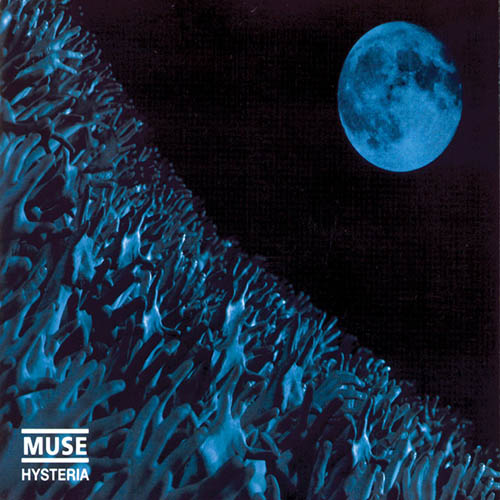 Muse, Eternally Missed, Guitar Chords/Lyrics