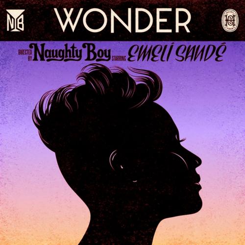 Naughty Boy, Wonder (featuring Emeli Sande), Piano, Vocal & Guitar (Right-Hand Melody)