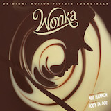 Download Neil Hannon A World Of Your Own (from Wonka) sheet music and printable PDF music notes