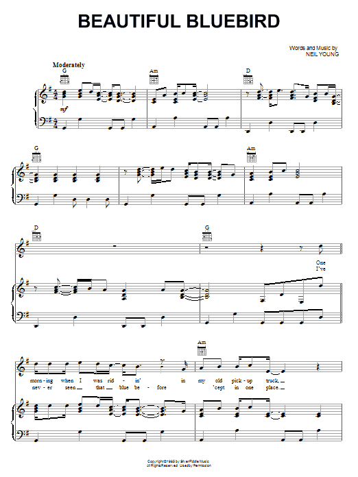 Neil Young Beautiful Bluebird Sheet Music Notes & Chords for Piano, Vocal & Guitar (Right-Hand Melody) - Download or Print PDF Neil Young Beautiful Bluebird Sheet Music Notes & Chords for Piano, Vocal & Guitar (Right-Hand Melody) - Download or Print PDF