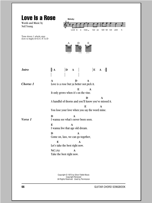 Neil Young Love Is A Rose Sheet Music Notes & Chords for Guitar Tab - Download or Print PDF