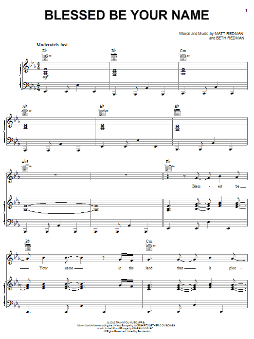 Newsboys Blessed Be Your Name Sheet Music Notes & Chords for Piano, Vocal & Guitar (Right-Hand Melody) - Download or Print PDF