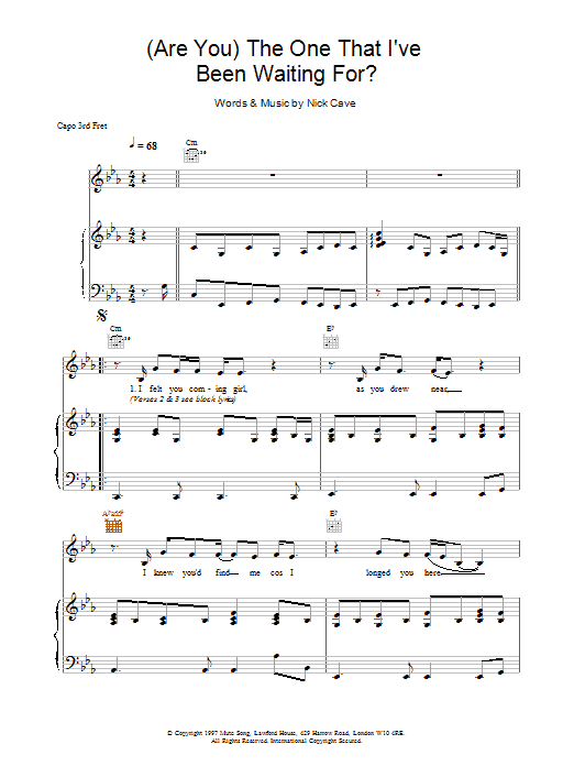 Nick Cave (Are You) The One That I've Been Waiting For? Sheet Music Notes & Chords for Lyrics & Chords - Download or Print PDF