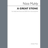 Download Nico Muhly A Great Stone sheet music and printable PDF music notes