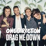 Download One Direction Drag Me Down sheet music and printable PDF music notes