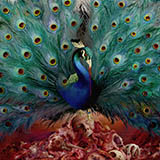 Download Opeth Will O The Wisp sheet music and printable PDF music notes