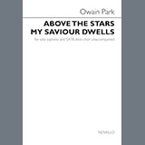 Download Owain Park Above The Stars My Saviour Dwells sheet music and printable PDF music notes