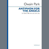 Download Owain Park Antiphon For The Angels (Vocal score) sheet music and printable PDF music notes