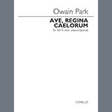 Download Owain Park Ave Regina Caelorum sheet music and printable PDF music notes