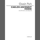 Download Owain Park Caelos Ascendit Hodie sheet music and printable PDF music notes