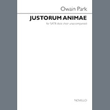 Download Owain Park Justorum Animae sheet music and printable PDF music notes
