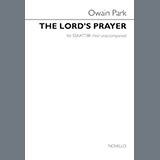 Download Owain Park The Lord's Prayer sheet music and printable PDF music notes