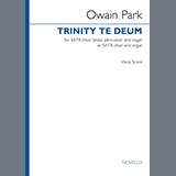 Download Owain Park Trinity Te Deum sheet music and printable PDF music notes