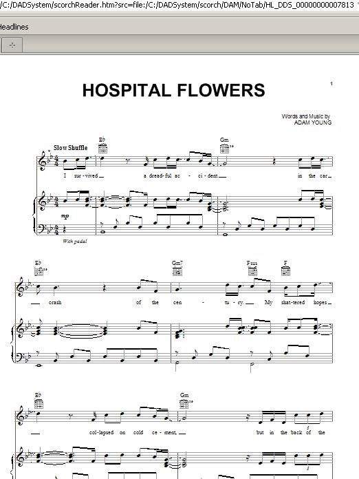 Owl City Hospital Flowers Sheet Music Notes & Chords for Piano, Vocal & Guitar (Right-Hand Melody) - Download or Print PDF