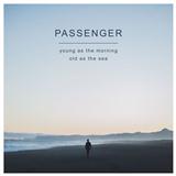 Download Passenger Beautiful Birds sheet music and printable PDF music notes