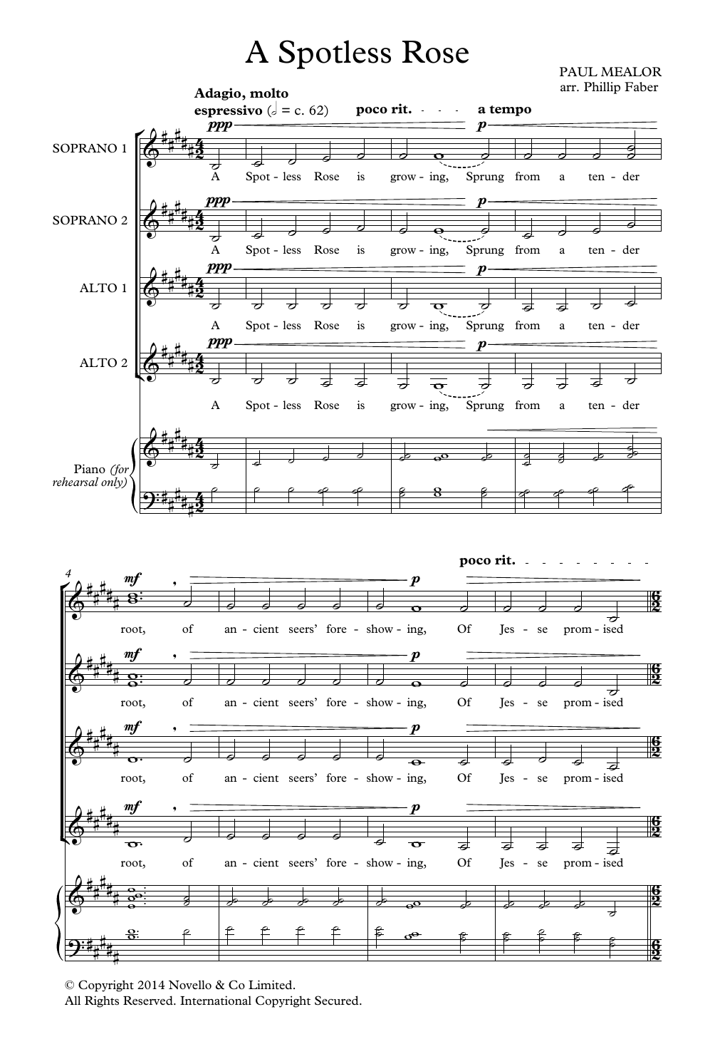 Paul Mealor A Spotless Rose (arr. Phillip Faber) Sheet Music Notes & Chords for SSAA Choir - Download or Print PDF