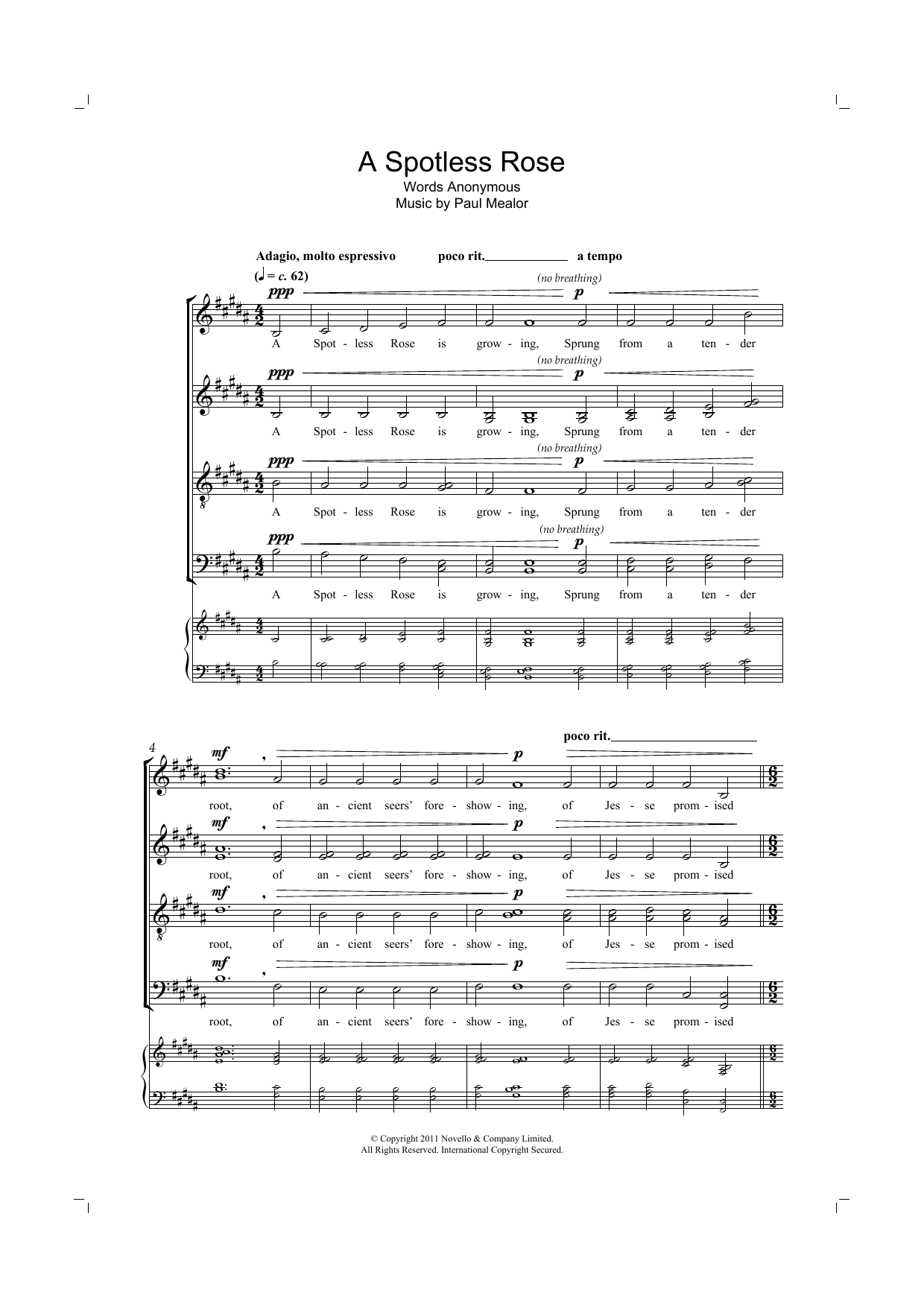 Paul Mealor A Spotless Rose Sheet Music Notes & Chords for SATB Choir - Download or Print PDF